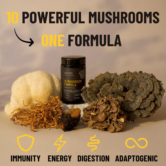 Organic 10 Mushroom Formula