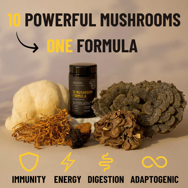 Organic 10 Mushroom Formula