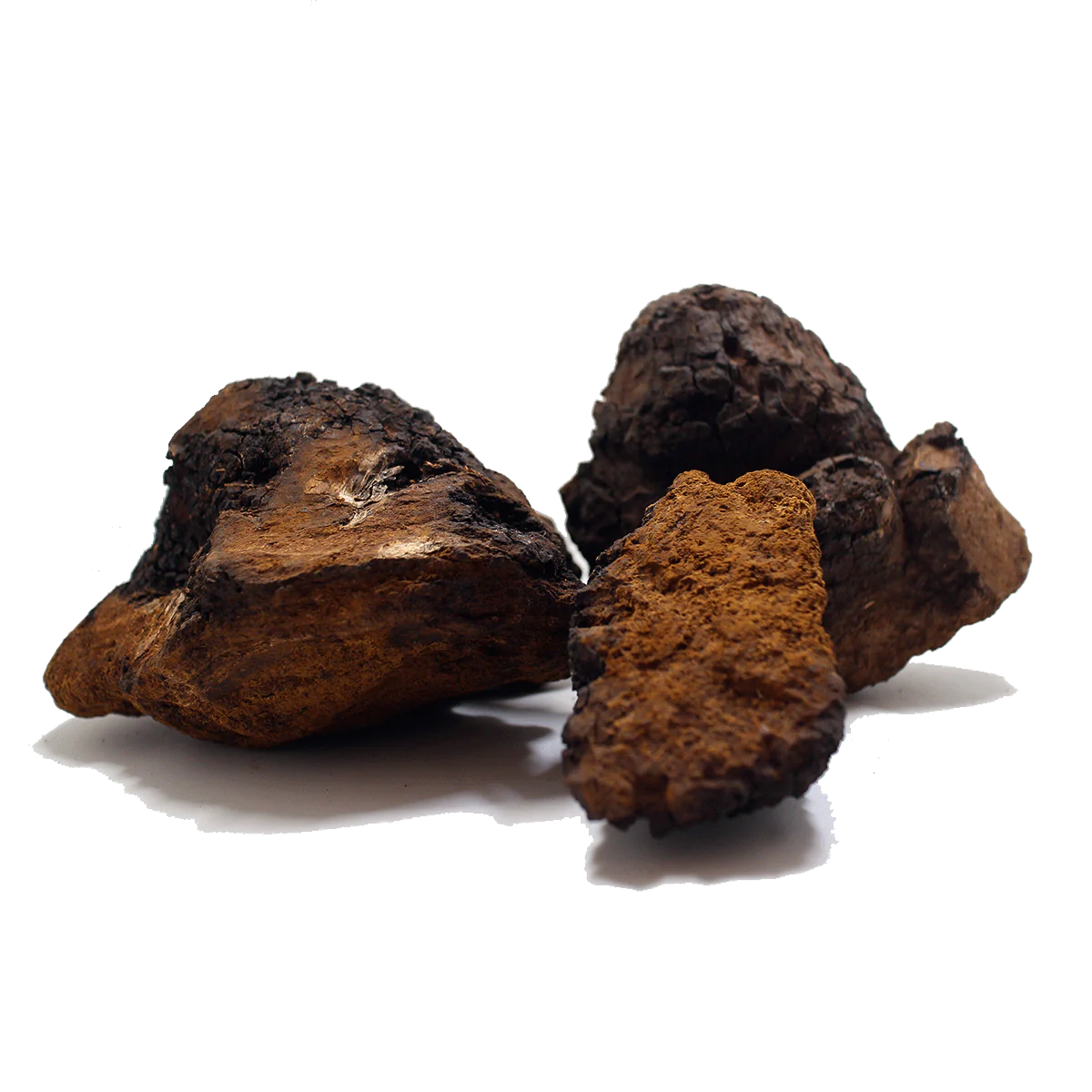 Concentrated Organic Chaga Mushroom Powder