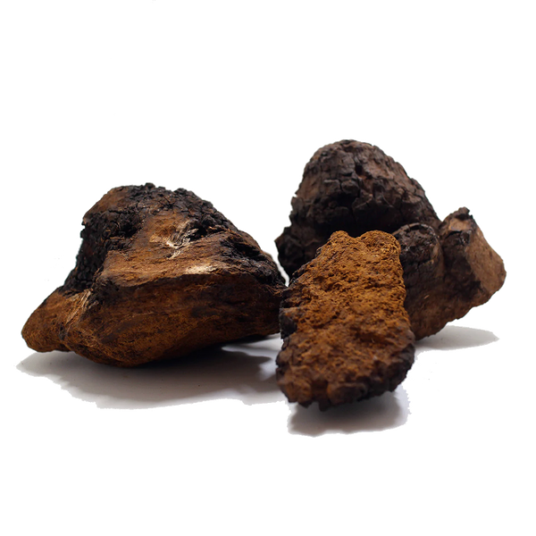 Concentrated Organic Chaga Mushroom Powder