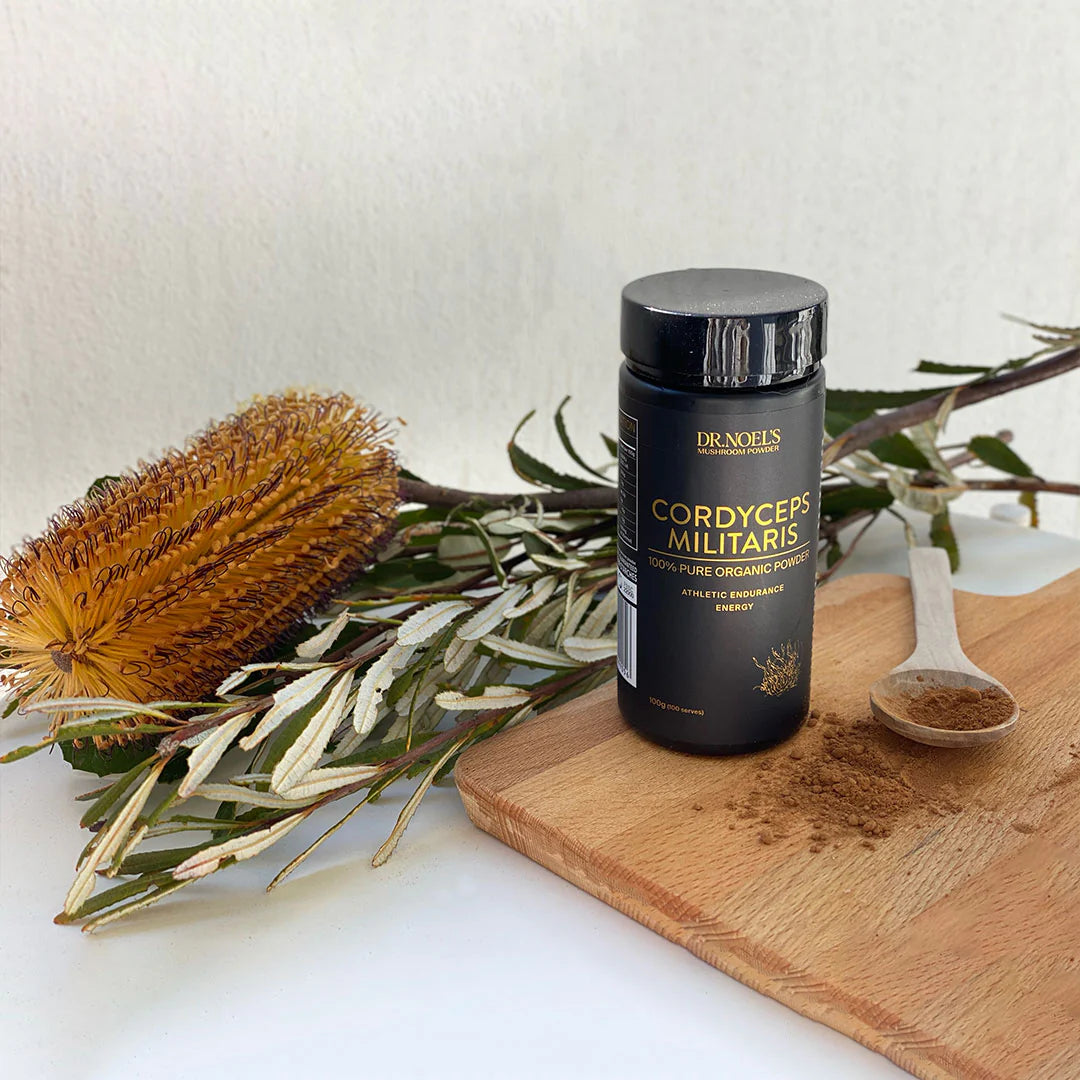 Concentrated Organic Cordyceps Militaris Mushroom Powder