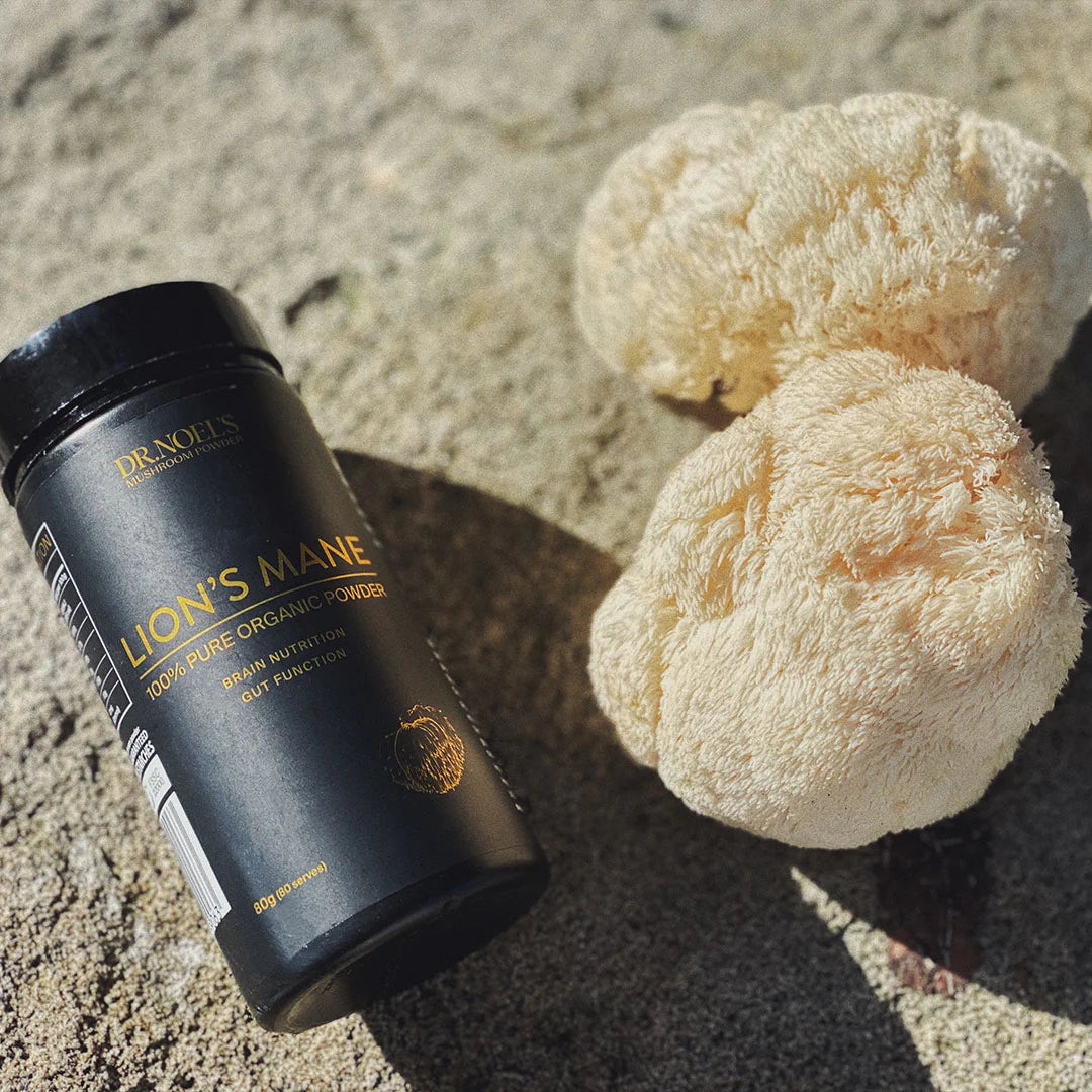 Concentrated Organic Lion's Mane Mushroom Powder