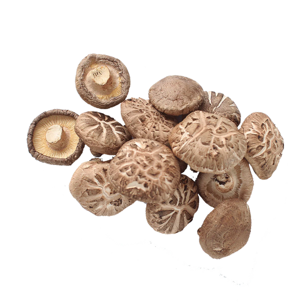 Concentrated Organic Shiitake Mushroom Powder