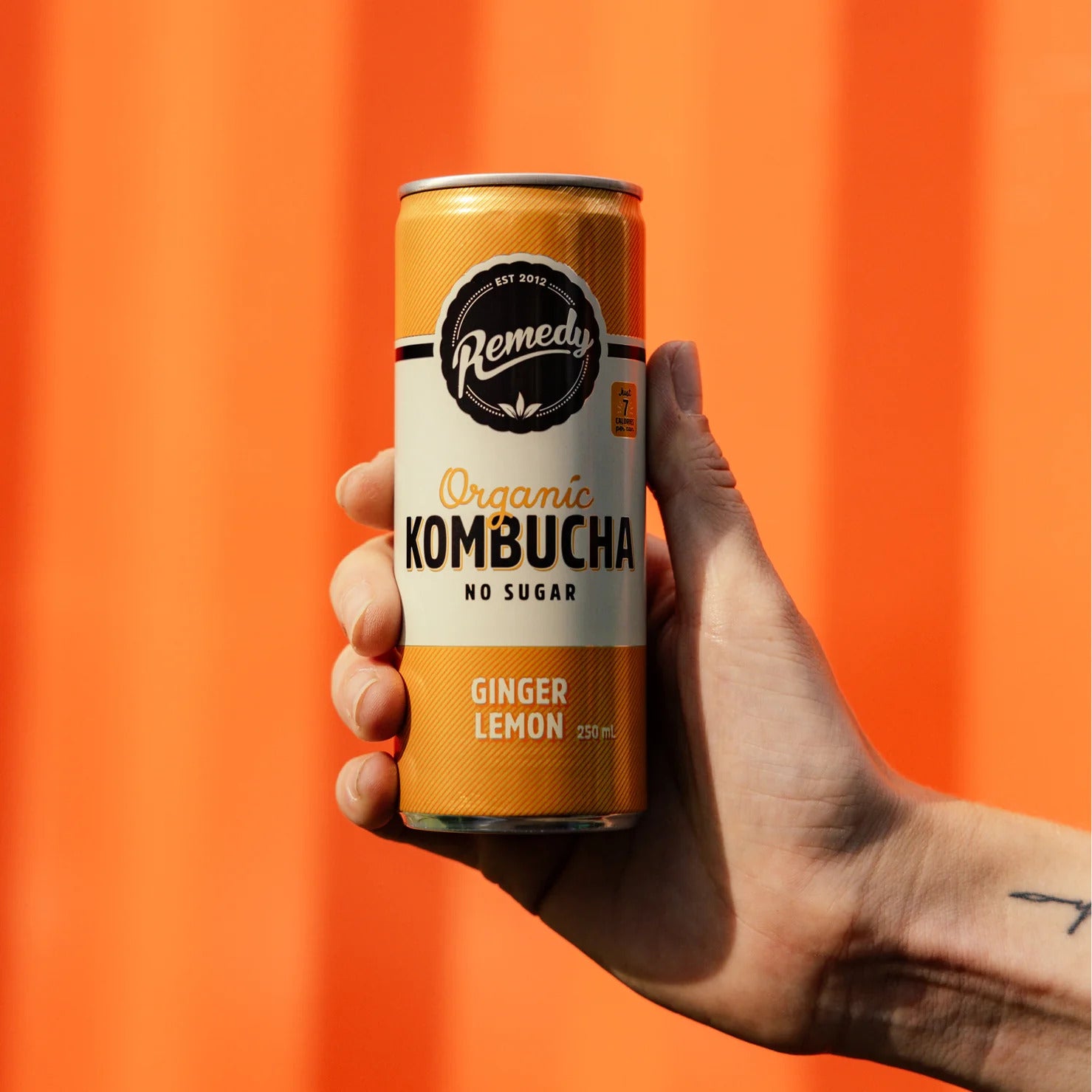 Remedy Kombucha Ginger Lemon