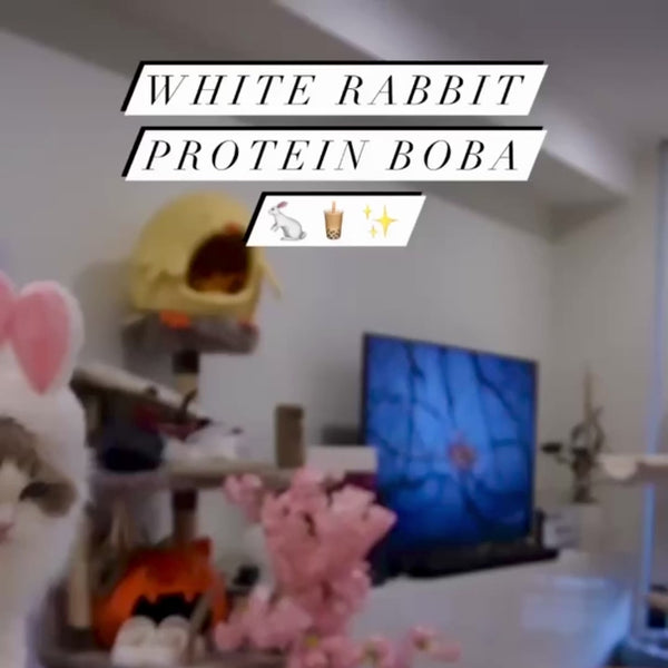 White Bunny Protein